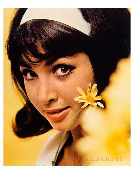 "Beach Blanket Bingo" Album Cover (1965)