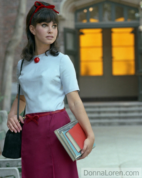 Teacher's Pet (1965)